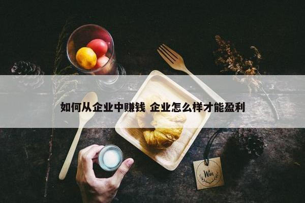 如何从企业中赚钱 企业怎么样才能盈利