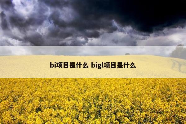 bi项目是什么 bigl项目是什么