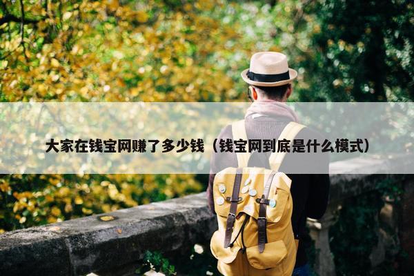 大家在钱宝网赚了多少钱（钱宝网到底是什么模式）