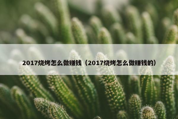 2017烧烤怎么做赚钱（2017烧烤怎么做赚钱的）