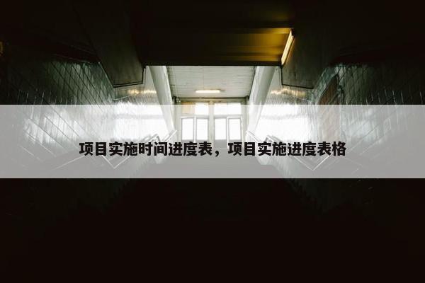 项目实施时间进度表，项目实施进度表格