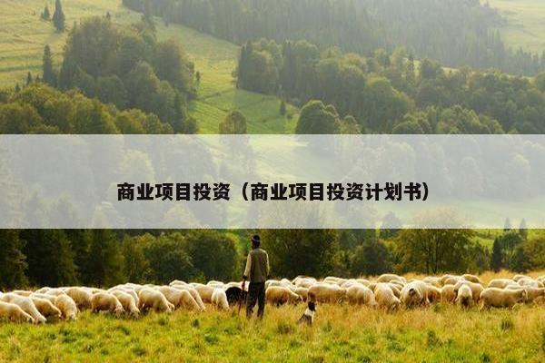 商业项目投资（商业项目投资计划书）