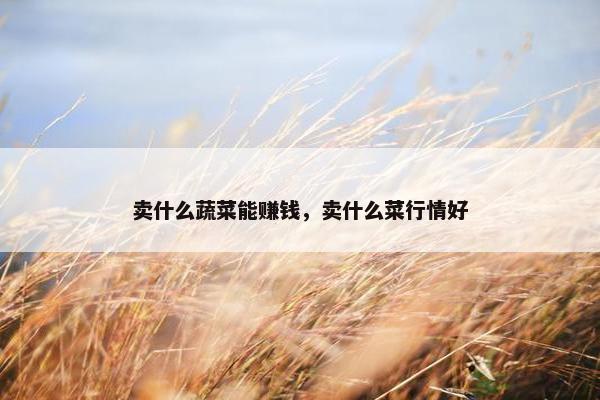 卖什么蔬菜能赚钱，卖什么菜行情好