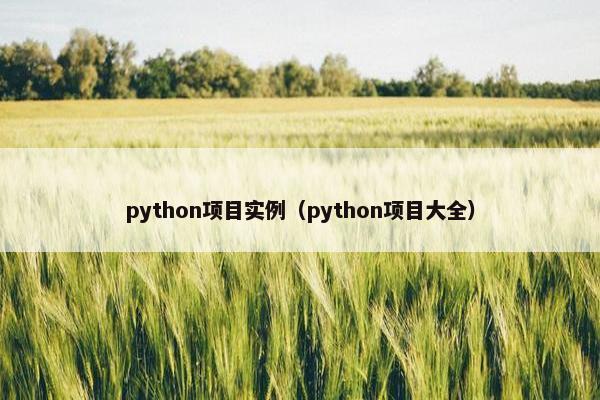 python项目实例（python项目大全）