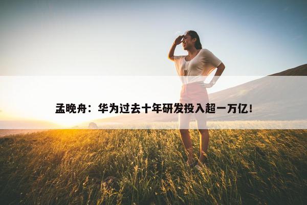 孟晚舟：华为过去十年研发投入超一万亿！