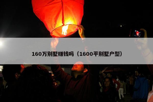 160万别墅赚钱吗（1600平别墅户型）