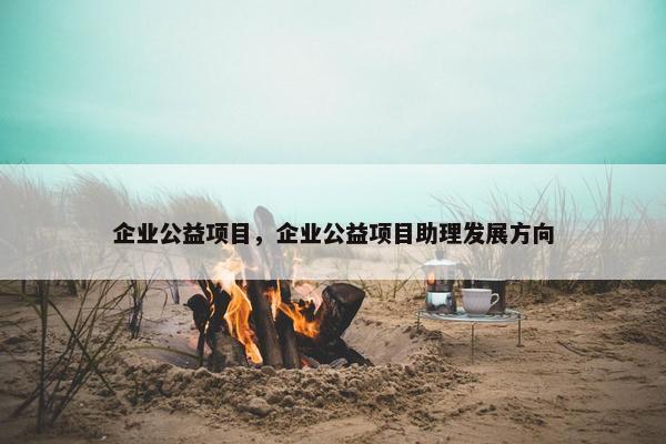 企业公益项目，企业公益项目助理发展方向