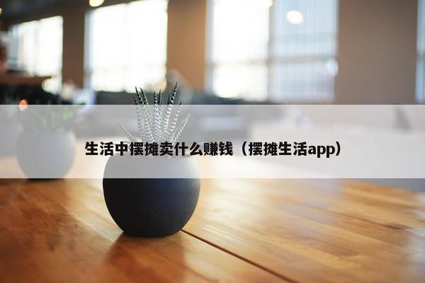 生活中摆摊卖什么赚钱（摆摊生活app）