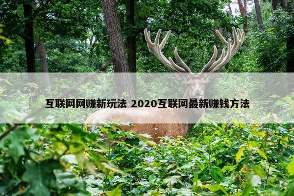 互联网网赚新玩法 2020互联网最新赚钱方法