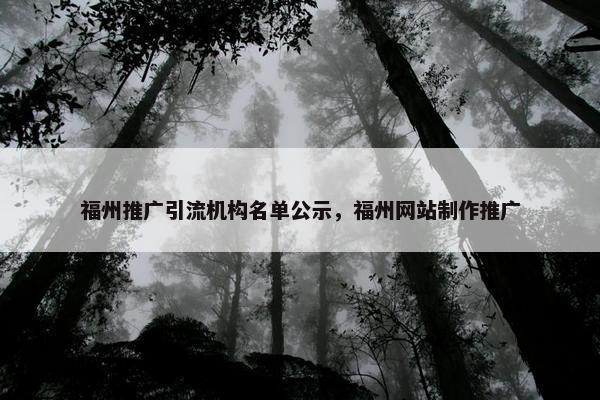 福州推广引流机构名单公示，福州网站制作推广