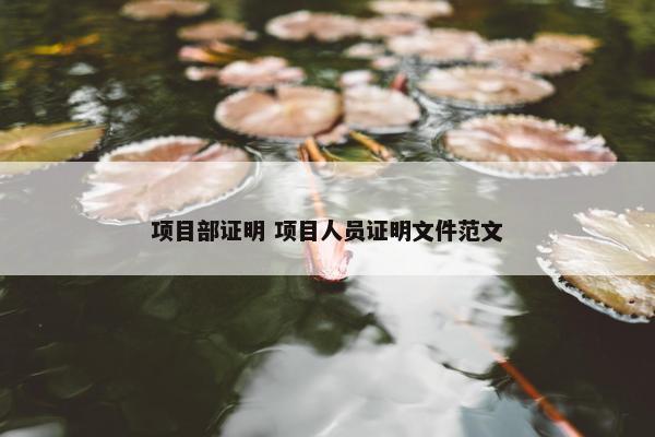 项目部证明 项目人员证明文件范文