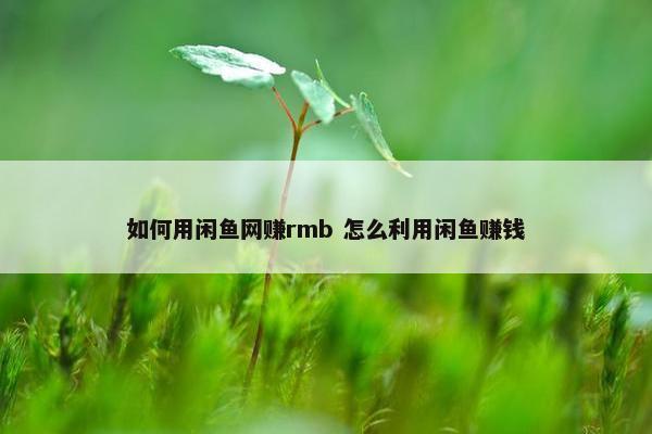 如何用闲鱼网赚rmb 怎么利用闲鱼赚钱