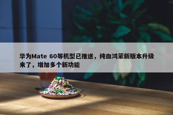 华为Mate 60等机型已推送，纯血鸿蒙新版本升级来了，增加多个新功能