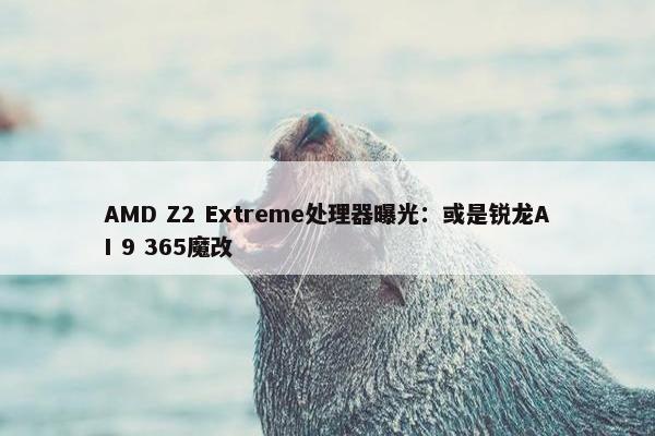 AMD Z2 Extreme处理器曝光：或是锐龙AI 9 365魔改