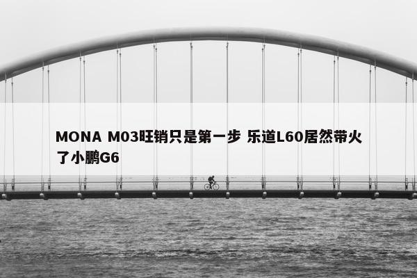 MONA M03旺销只是第一步 乐道L60居然带火了小鹏G6