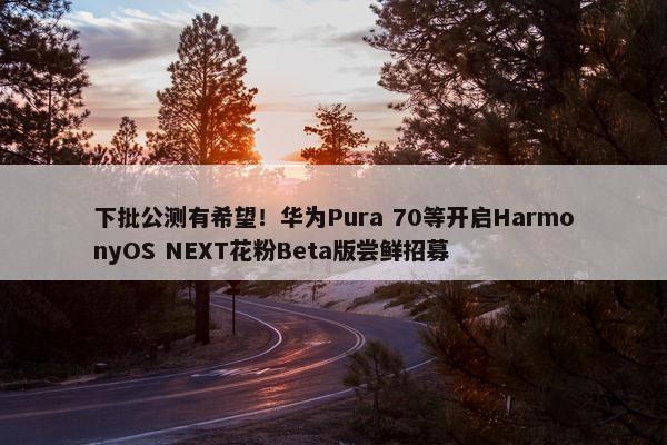 下批公测有希望！华为Pura 70等开启HarmonyOS NEXT花粉Beta版尝鲜招募