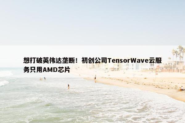 想打破英伟达垄断！初创公司TensorWave云服务只用AMD芯片