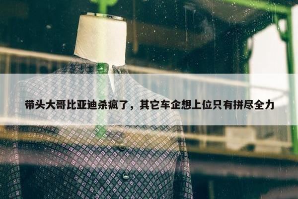 带头大哥比亚迪杀疯了，其它车企想上位只有拼尽全力