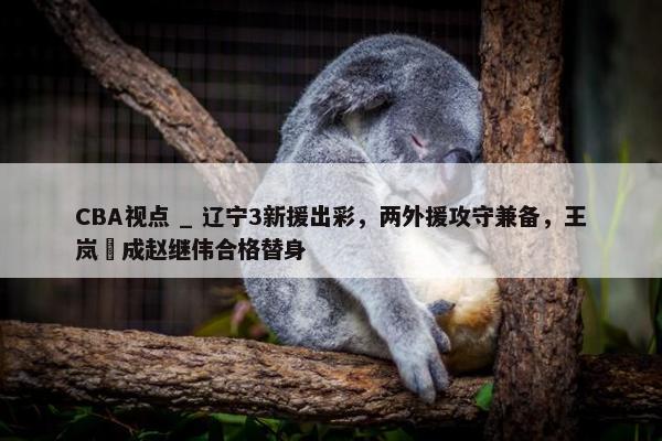 CBA视点 _ 辽宁3新援出彩，两外援攻守兼备，王岚嵚成赵继伟合格替身