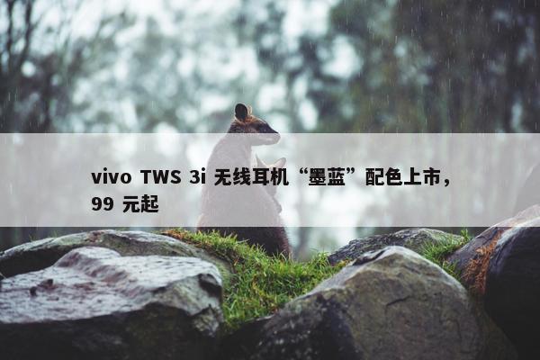 vivo TWS 3i 无线耳机“墨蓝”配色上市，99 元起