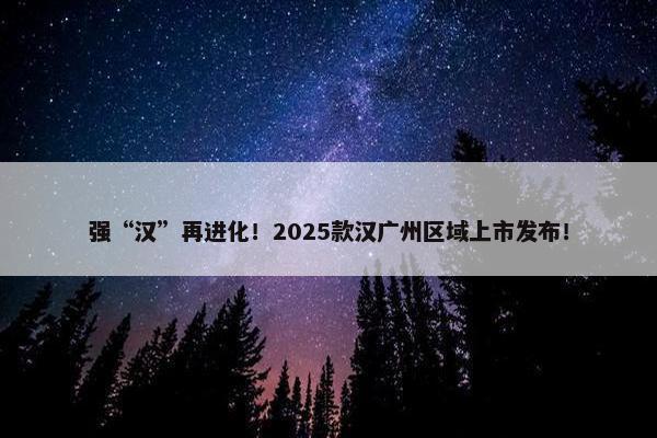 强“汉”再进化！2025款汉广州区域上市发布！