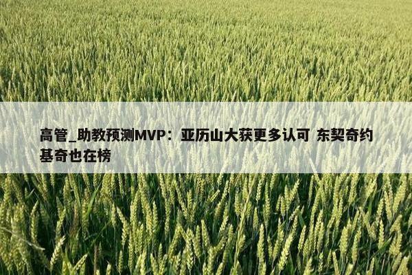 高管_助教预测MVP：亚历山大获更多认可 东契奇约基奇也在榜