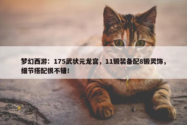 梦幻西游：175武状元龙宫，11锻装备配8锻灵饰，细节搭配很不错！