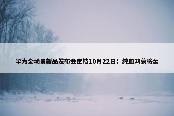 华为全场景新品发布会定档10月22日：纯血鸿蒙将至